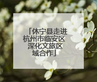 休宁县走进杭州市临安区 深化文旅区域合作